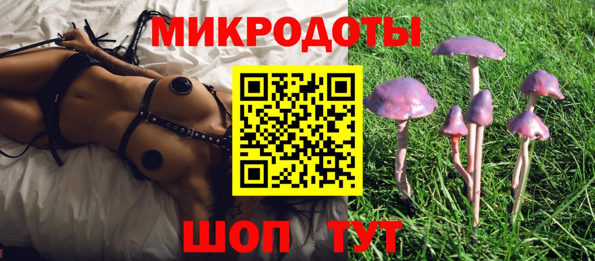 Черкесск  Галлюциногенные грибы GOLDEN TEACHER  Вход с VPN  Галлюциногенные грибы GOLDEN TEACHER 